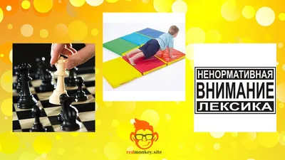 Прокачаем логику! Что общего на этих картинках? | Тестовед | Дзен
