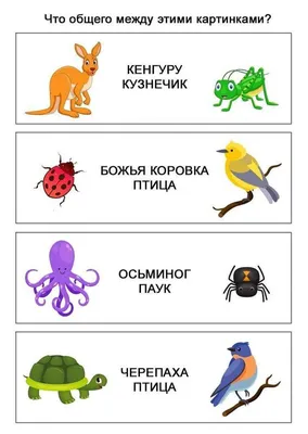 Иллюстрация 4 из 35 для Логика в картинках для дошколят. Книга 1 -  Воронина, Воронина | Лабиринт -