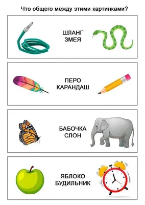 Развиваем логику. Как быстро вы найдете общее на этих картинках? | Тестовед  | Дзен