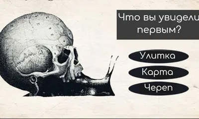 То, что вы увидели первым на картинке, раскроет ваш истинный характер