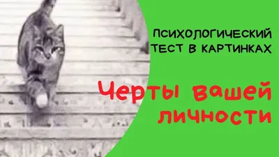 Визуальный тест: посмотрите на картинку и определите свой характер |  ВКонтакте