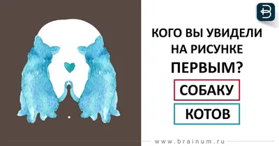 Точный на 98% тест по картинкам - что вы видите первым — УНИАН
