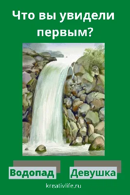 10 психологических тестов по картинкам.:\"Что вы увидели первым?\" — Рояль в  кустах (Mи Lа) — NewsLand