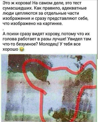 Что ты увидел первым: психологический тест