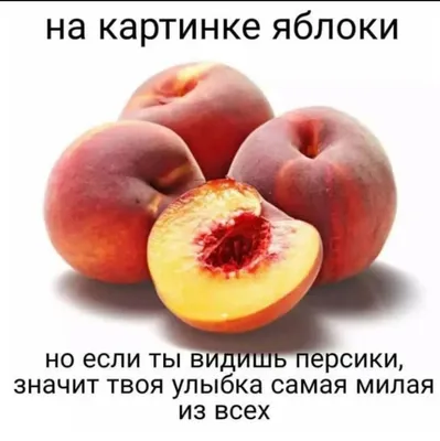 Психологический тест — Teletype