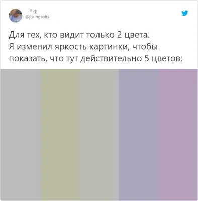 Какой цвет видишь ты ? 😱🤔 | TikTok