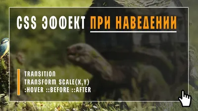 javascript - Как сделать такой hover эффект при наведении на изображение? -  Stack Overflow на русском