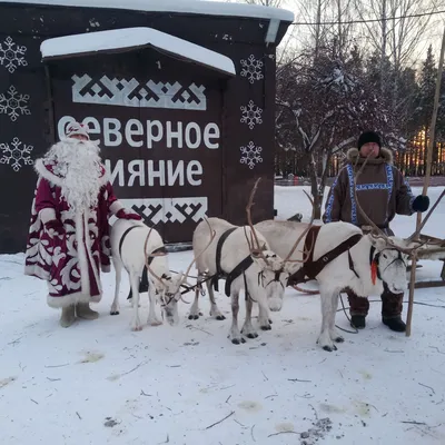 Дед мороз с оленем :) | Пикабу