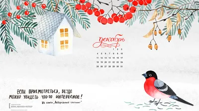 Обои на рабочий стол с календарем. Декабрь 2021. | ИРИСОФТ