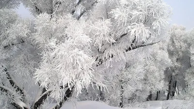 Обои для рабочего стола, скачать бесплатные обои и картинки на рабочий стол,  заставки