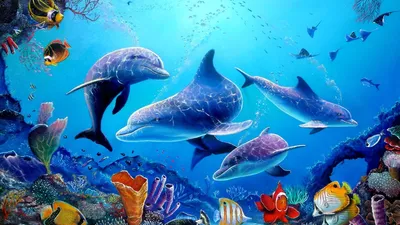 Дельфины в голубой воде - обои для рабочего стола, картинки, фото