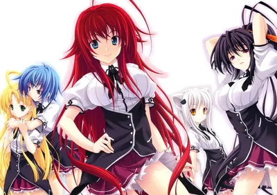 Обои highschool dxd, демонессы, anime, демоны старшей школы, аниме на рабочий  стол