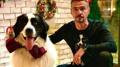 Знаменитый актёр в объективе: самые эмоциональные снимки Дениса Никифорова