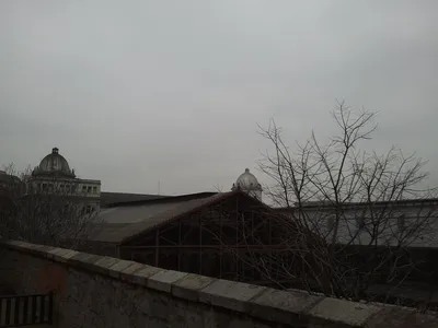 Фотка Дэнни Бланко на футболке с логотипом