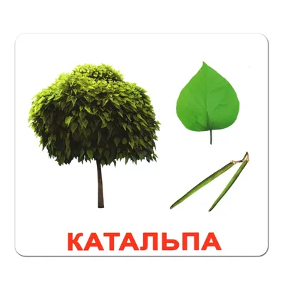 Сказки \"Читай по-русски и по-английски\" УИД купить по низкой цене - Галамарт