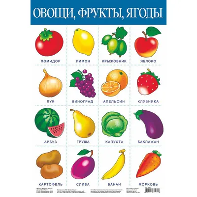 46 стихов про букву Р для детей: изучаем алфавит