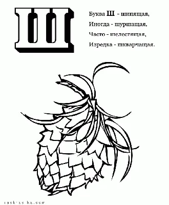 Раскраски детские. Буквы. Буква Ш