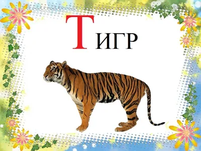 Я ПИШУ СЛОВА С БУКВОЙ Ш - Я ПИШУ СЛОВА - УЧИМСЯ ПИСАТЬ - Каталог статей -  САЙТ ДЛЯ ВОСПИТАТЕЛЕЙ И РОДИТЕЛЕЙ | Обучение буквам, Обучение, Обучение  чтению