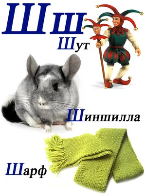Слова на букву Ш | Дошкольный алфавит, Детские заметки, Наглядные учебные  пособия