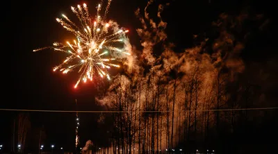 Скоро Новый год – Муниципальное автономное дошкольное образовательное  учреждение \"Детский сад № 67 города Благовещенска\"