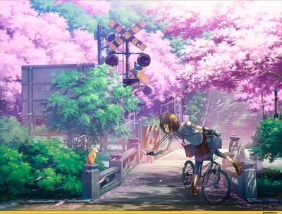 Картинки dakota pink, девушка, велосипед, осень - обои 2560x1440, картинка  №439206