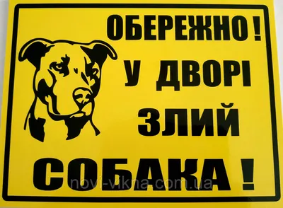 Картинки \"Мы дежурим\" (81 фото)