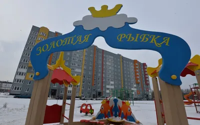 Откройте для себя мир Дмитрия Пустильника через его фотографии