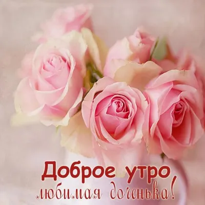 с добрым утром на азербайджанском языке｜Búsqueda de TikTok