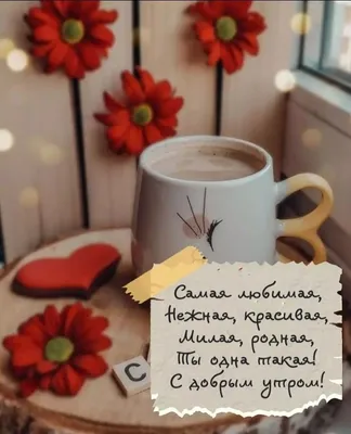 Доброе утро, друзья! Краски первых месяцев осени украшают нашу реальность,  сглаживая остроту моментов, не желанных в нашей жизни - Лента новостей  Херсона