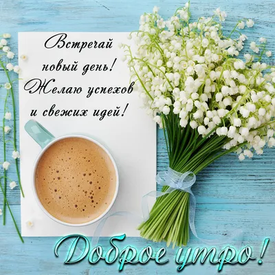 Доброе утро тик ток на азербайджанский языке｜TikTok Search