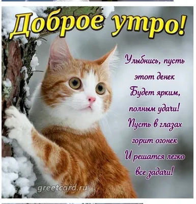 Доброе утро, друзья и подписчики нашего канала! Холодает, так что  одевайтесь потеплее, сохраняйте бодрость духа и тепло сердец - Лента  новостей Херсона