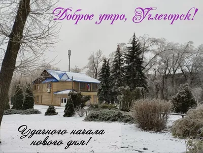 Идеи на тему «Доброе утро» (900+) | доброе утро, фотография питомца,  индейское произведение искусства