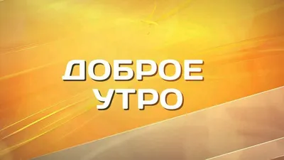 Алексей Щеглов - Доброе утро! ☀ Хорошего дня!😊 #доброеутро #хорошегодня # утро #поле #цветы #озеленение #девочка #красиво #безфильтров #воскресение |  Facebook