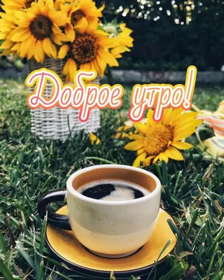 Блокнот Воронеж - Доброе утро! Погода на 19 сентября утро – Небольшой дождь  +9°...+11°С ветер В 6 м/с день – Дождь +10°…+11°С ветер В 5 м/с вечер –  Дождь +11°…+12°С ветер ЮВ