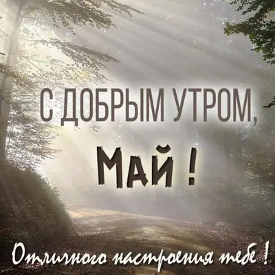 Открытки с добрым утром зимние января (41 фото) » Рисунки для срисовки и не  только