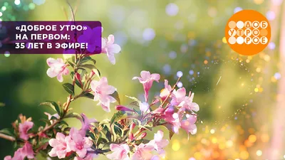 пожелания с доброе утро на чувашском｜TikTok Search