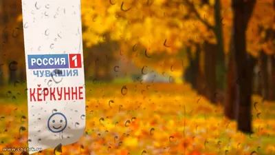 доброе утро на чувашском новинки языке｜Búsqueda de TikTok