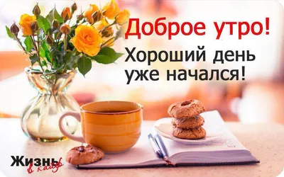 52-я серия(Южный Вьетнам). \"Мыс Счастья\". Чувашский Путешественник Никита  Васильев. - YouTube