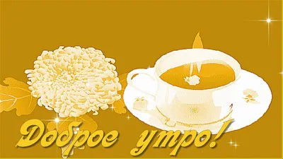 Ырӑ ир - доброе утро на чувашском 😃 Мы улетели в Чебоксары. Сегодня  вечером напишу, как мы очутились в Чебах и нашу двухдневную программу… |  Instagram