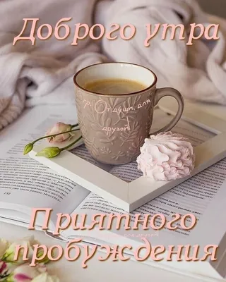 Доброе утро с любовью на португальском языке. Иллюстрация чернил с  Handdrawn литерностью. Amor Multo Bom Dia Com Иллюстрация штока -  иллюстрации насчитывающей фраза, карточка: 157148237