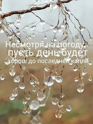 Доброе утро несмотря на дождь картинки фотографии
