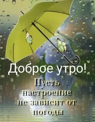 Картинки доброе утро в дождливую погоду красивые с пожеланиями (54 фото) »  Картинки и статусы про окружающий мир вокруг
