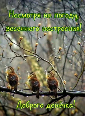 Открытки \"Доброго утра!\" зимой (500+)