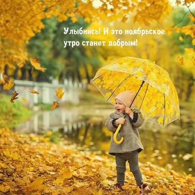 Картинки хорошего настроения несмотря на дождь (30 фото) » Юмор, позитив и  много смешных картинок
