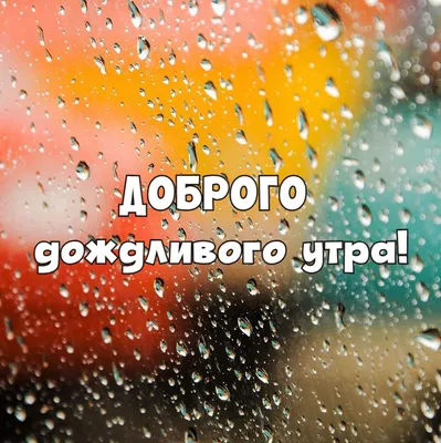 Всем доброе утро и хорошего дня, несмотря на дождь ☺️ | Instagram