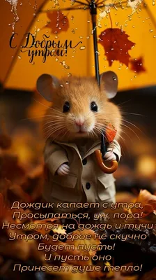 Пин от пользователя Елена на доске Осеннее УТРО | Доброе утро, Диснеевские  темы, Дождь