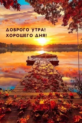 Открытки \"Доброго утра ноября!\" бесплатно (154 шт.)
