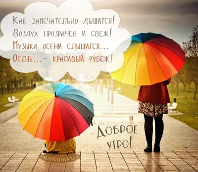 Доброе утро! А дождик смоет все печали и будет солнечно в душе. Музыкальная  открытка С Добрым утром - YouTube