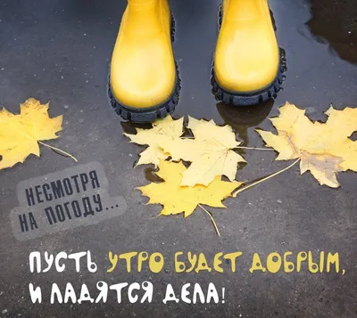 С Добрым утром☔️ | Доброе утро, Счастливые картинки, Осенние картинки