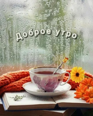 Осенние открытки \"Доброго утра!\" (437 шт.)